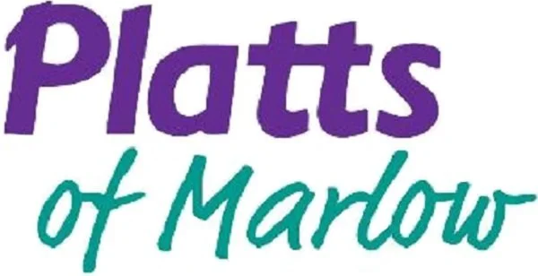 Business Logo