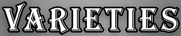 Business Logo