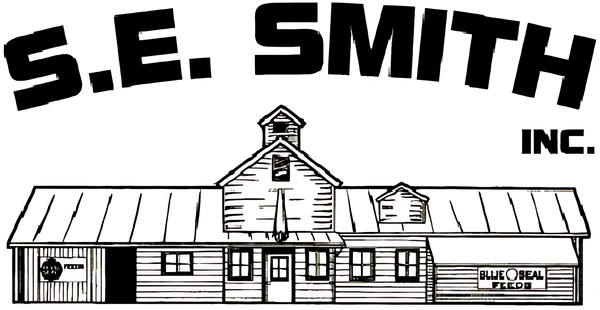 Business Logo