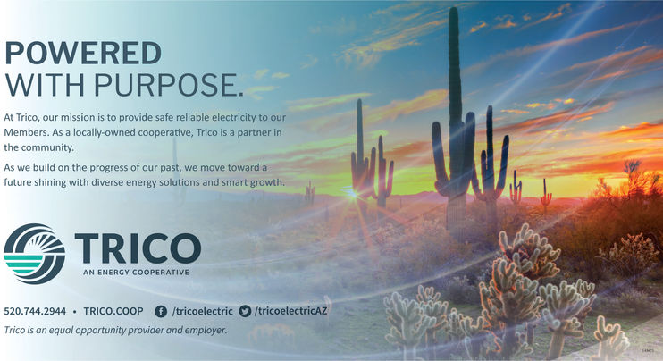 tuesday-april-9-2019-ad-trico-electric-cooperative-inc-green