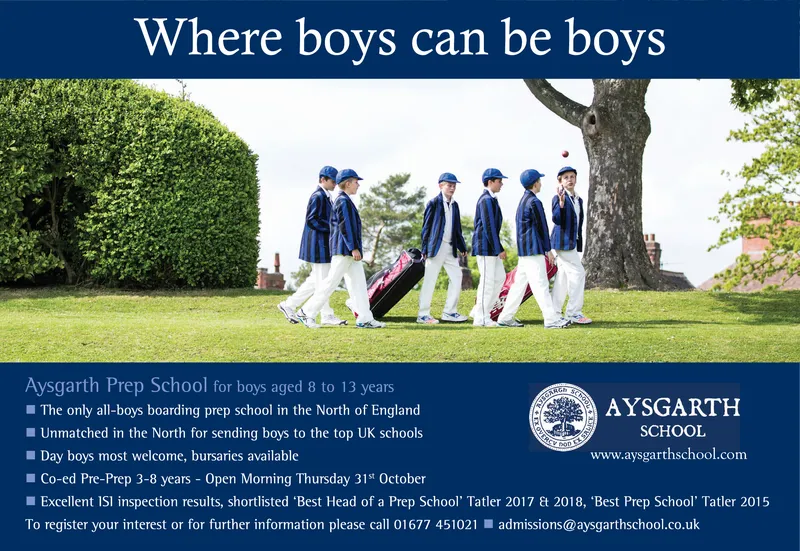 Ad promo image large