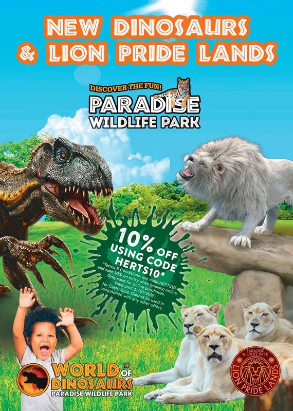 Ad promo image large