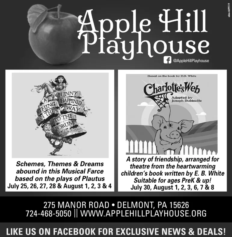 Ad promo image large