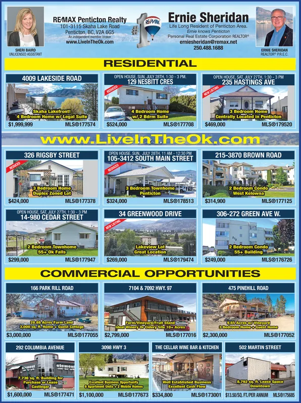 Ad promo image large