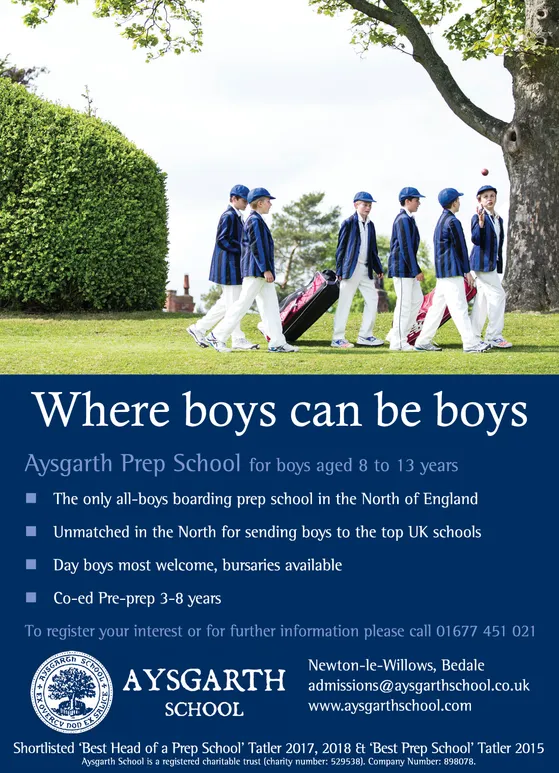Ad promo image large