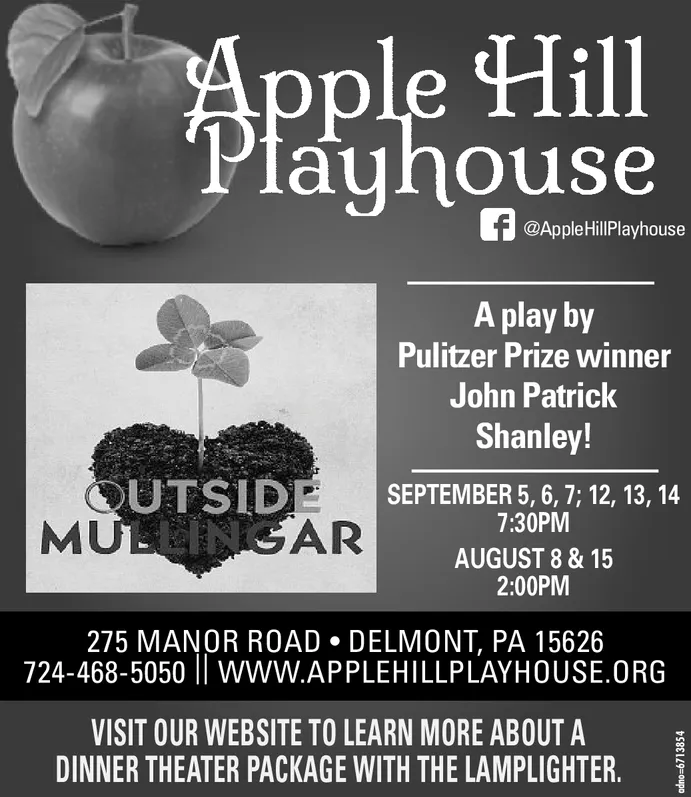 Ad promo image large