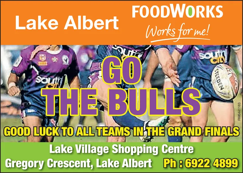 Ad promo image large