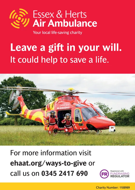 Ad promo image large