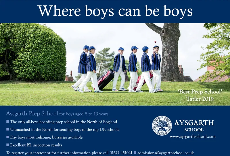 Ad promo image large