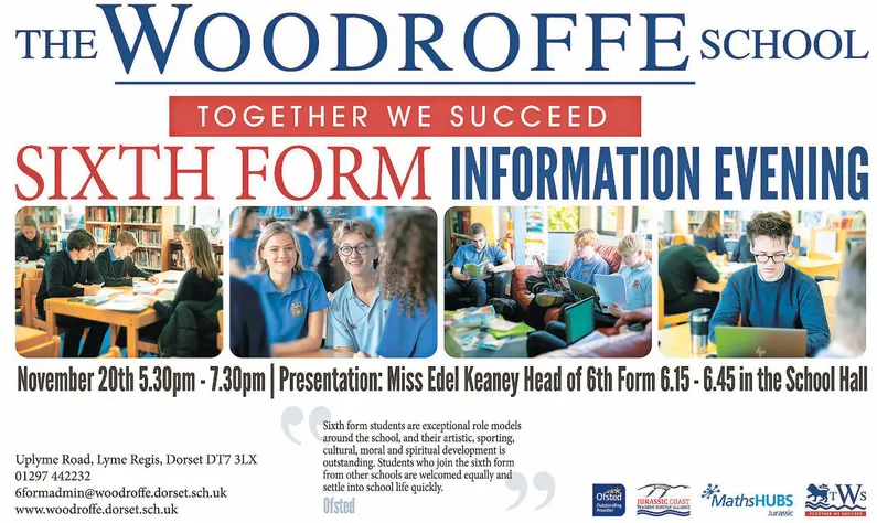 Ad promo image large