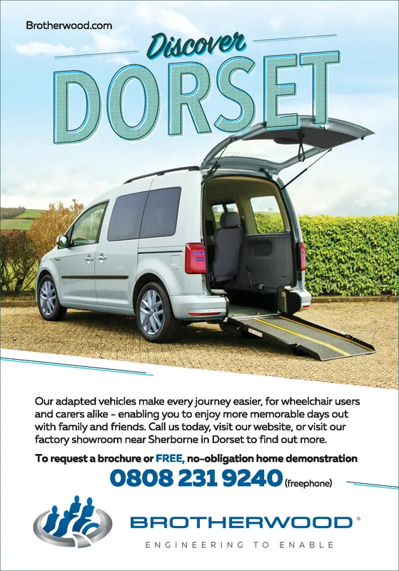 Ad promo image large