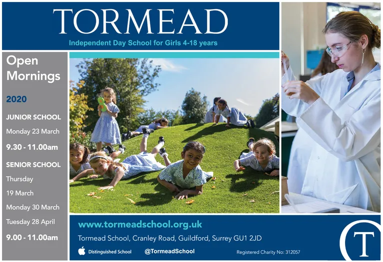 Ad promo image large