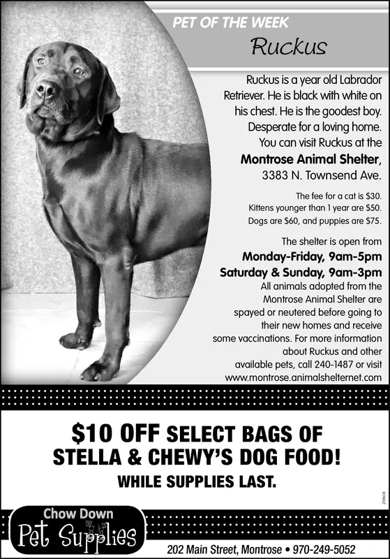 Ad promo image large