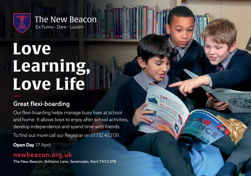 Ad promo image large