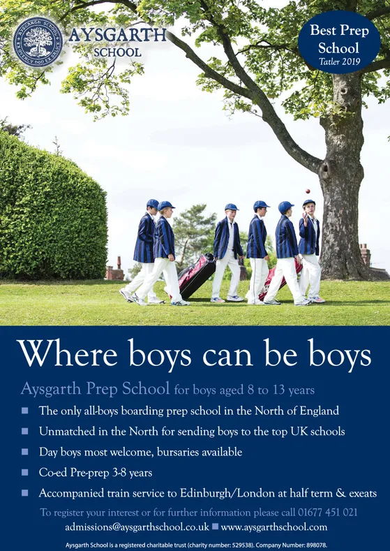 Ad promo image large