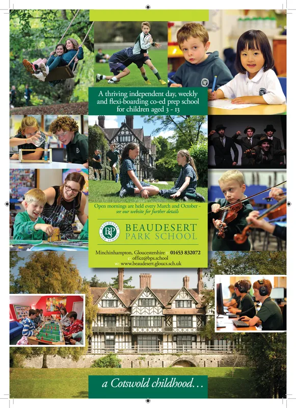 Ad promo image large