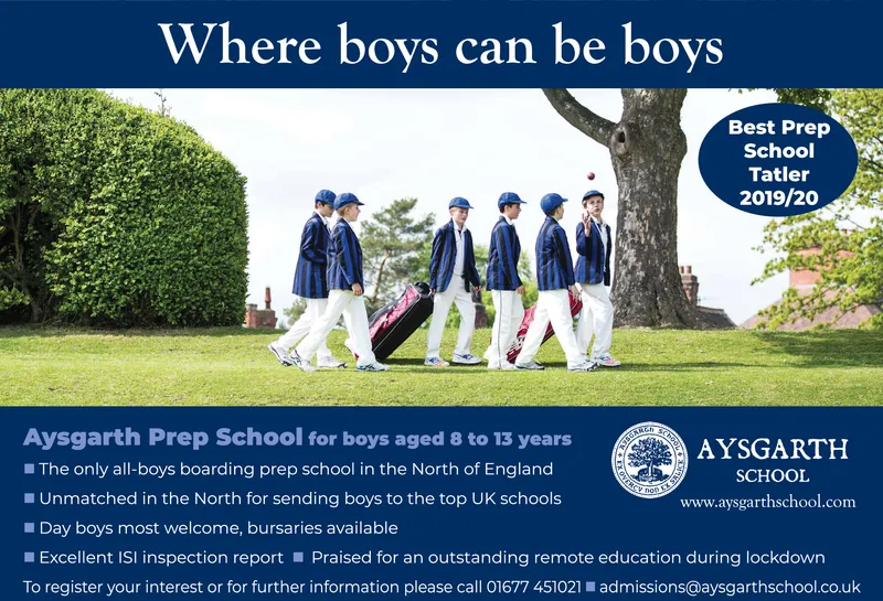 Ad promo image large
