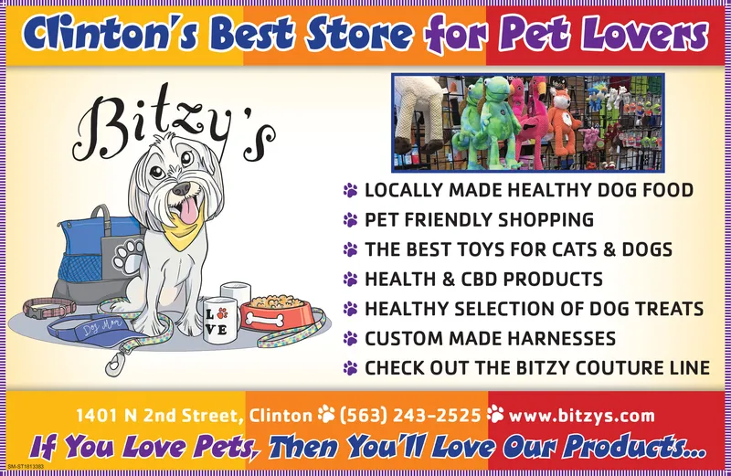 Ad promo image large