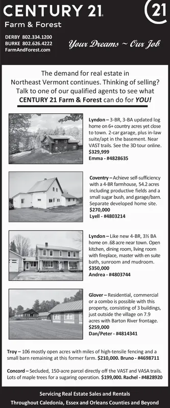 Ad promo image large