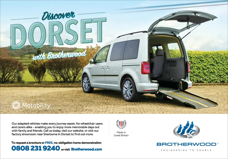 Ad promo image large