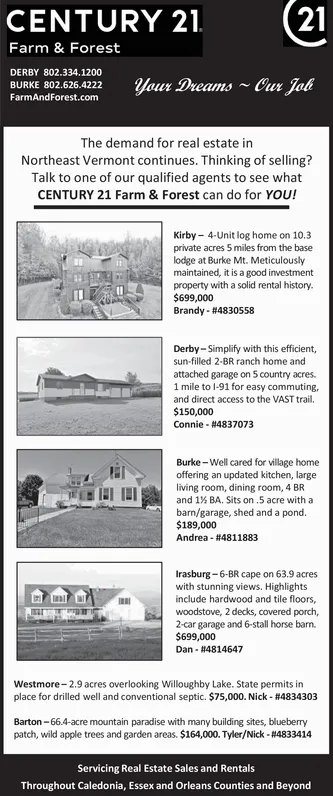 Ad promo image large