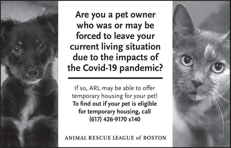 WEDNESDAY, DECEMBER 23, 2020 Ad - Animal Rescue League of Boston - Bay  State Banner