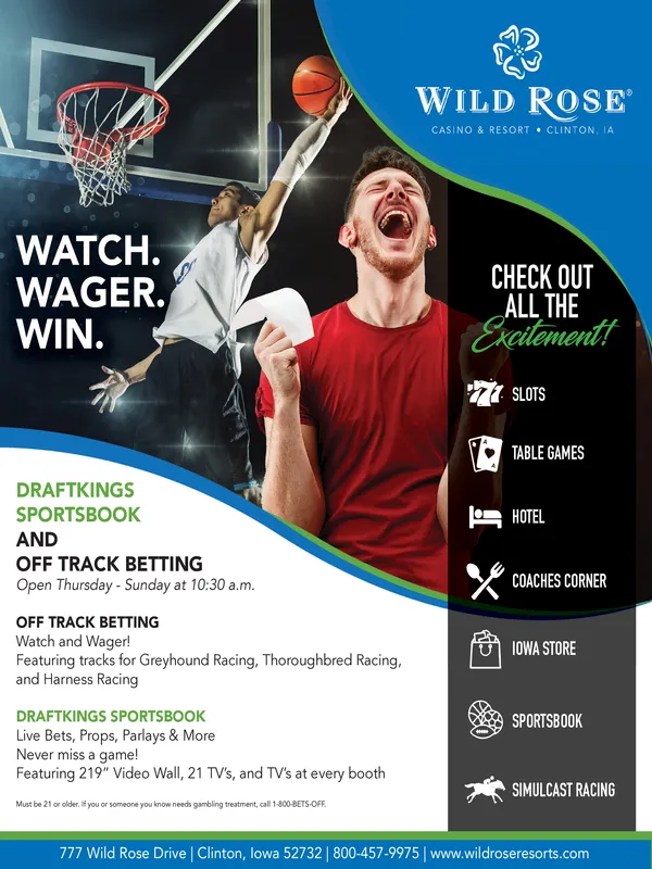 Ad promo image large