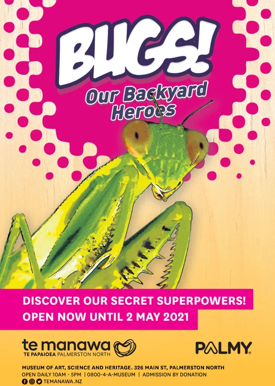 Ad promo image large