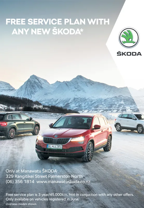 Ad promo image large