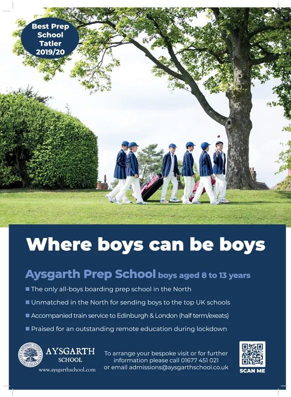 Ad promo image large
