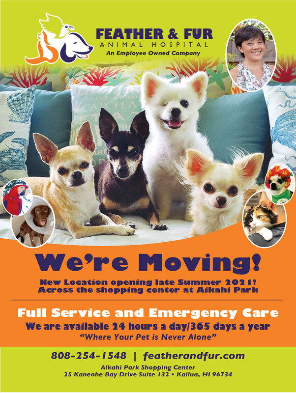 TUESDAY, JUNE 15, 2021 Ad - Feather & Fur Animal Hospital - Honolulu  Star-Advertiser-Main