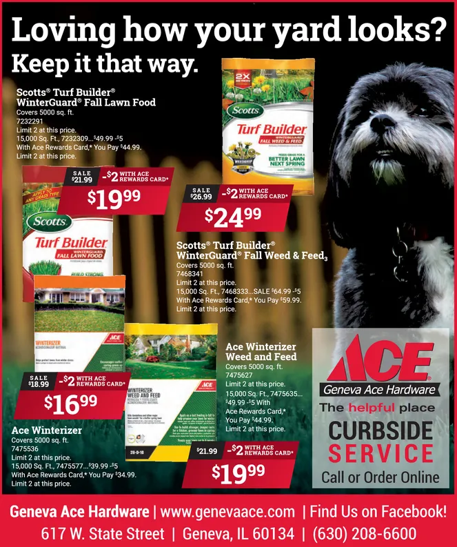 Ad promo image large