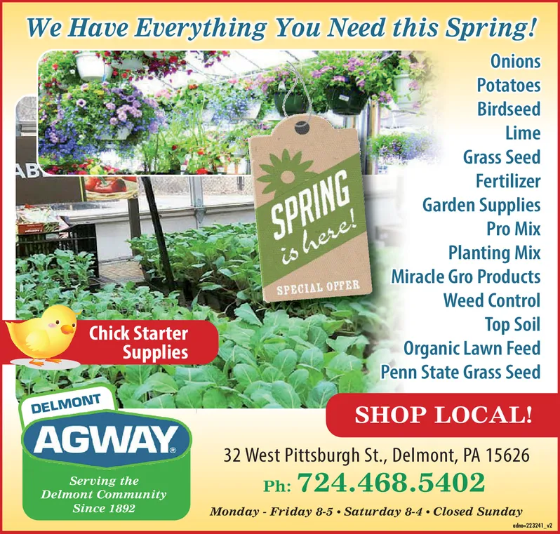 Ad promo image large