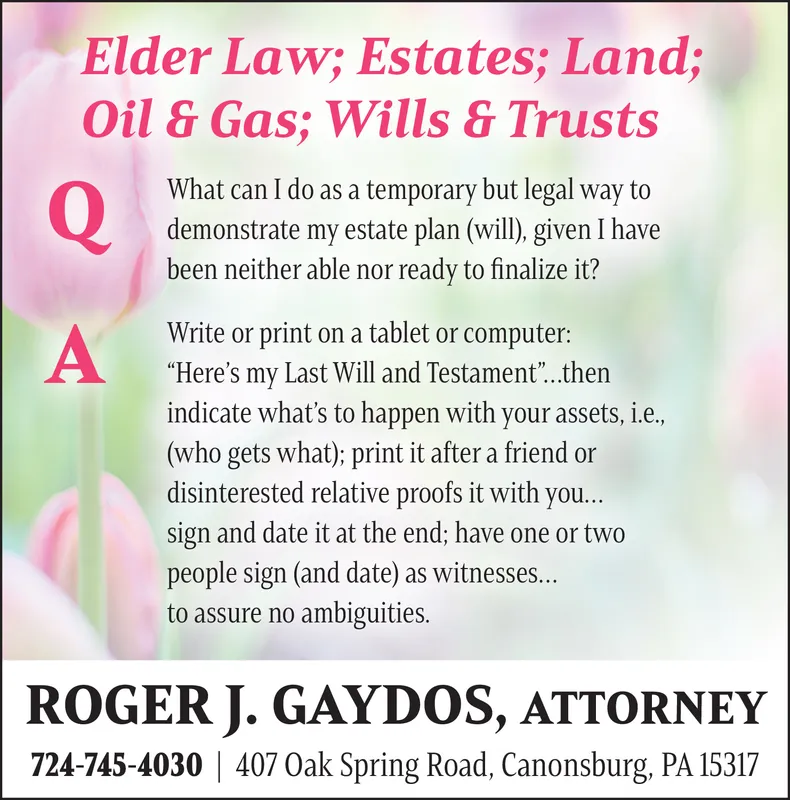 Ad promo image large