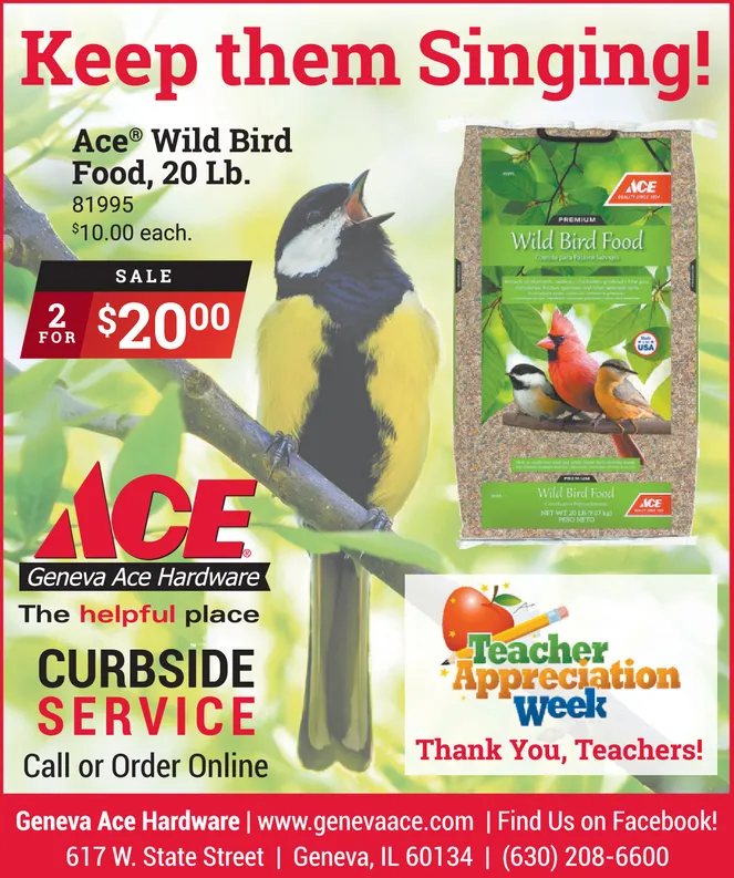 Ad promo image large
