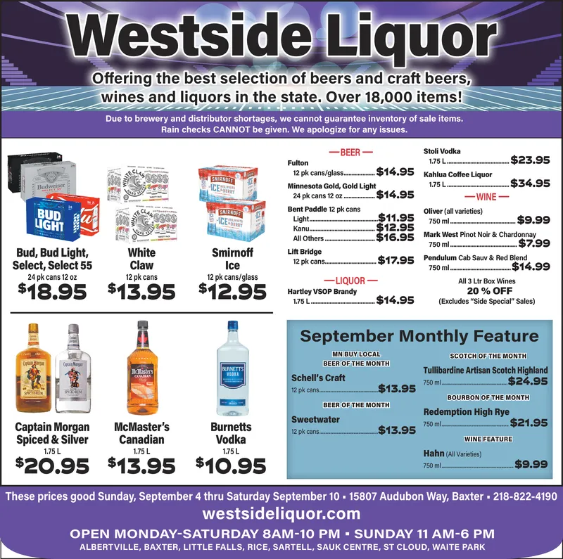 Ad promo image large