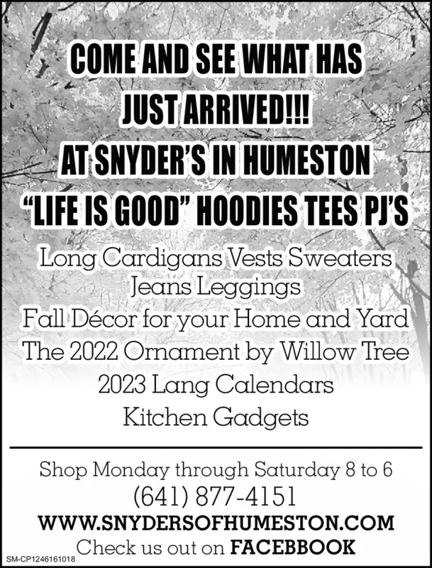 Ad promo image large