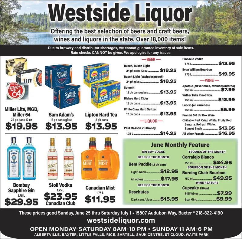 Ad promo image large