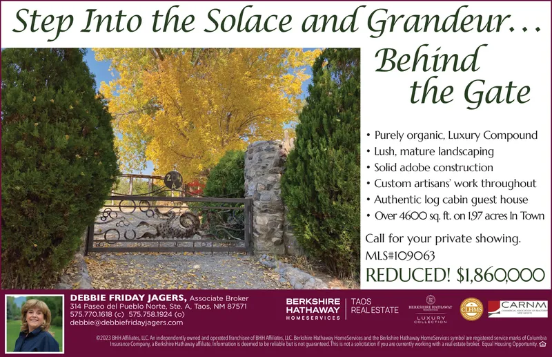 Ad promo image large
