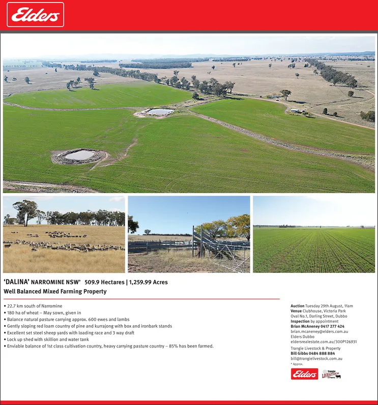 Ad promo image large