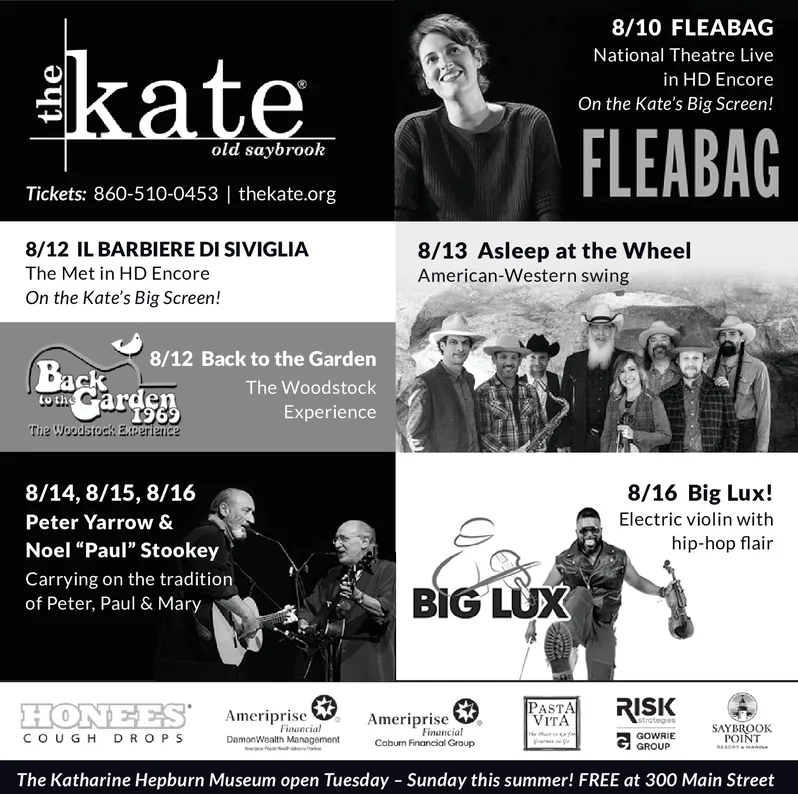 Ad promo image large