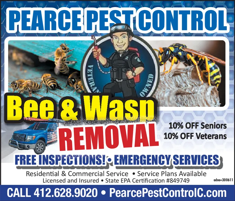 10 Info Everyone Should Find Out About Pest Control Service