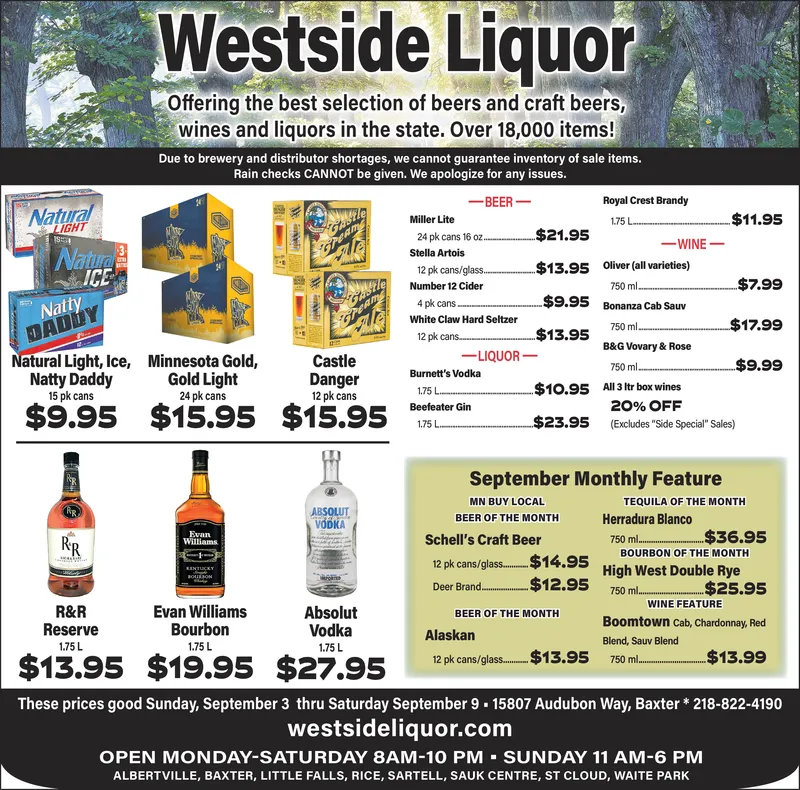 Ad promo image large