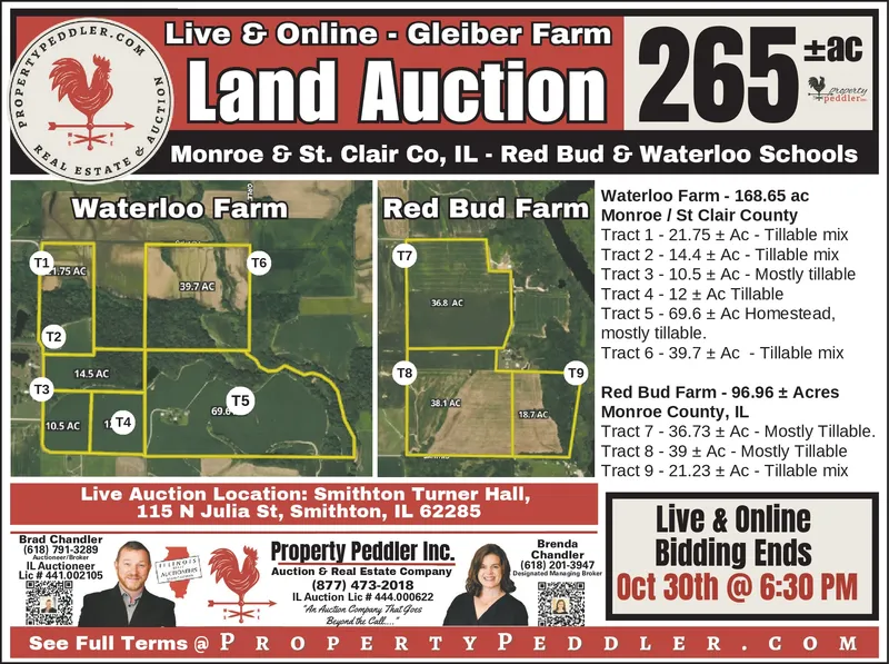 Ad promo image large