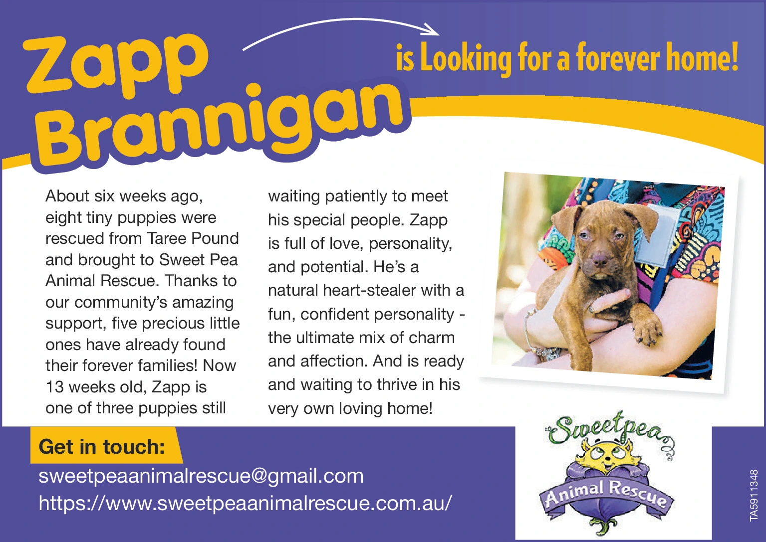 Ad promo image large