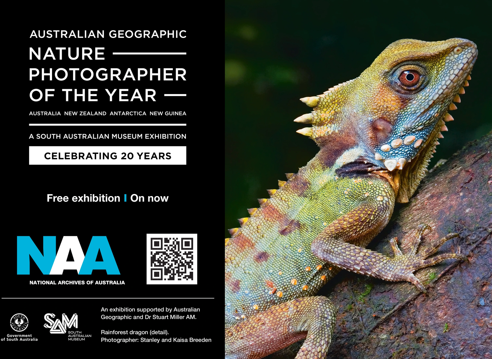 Ad promo image large