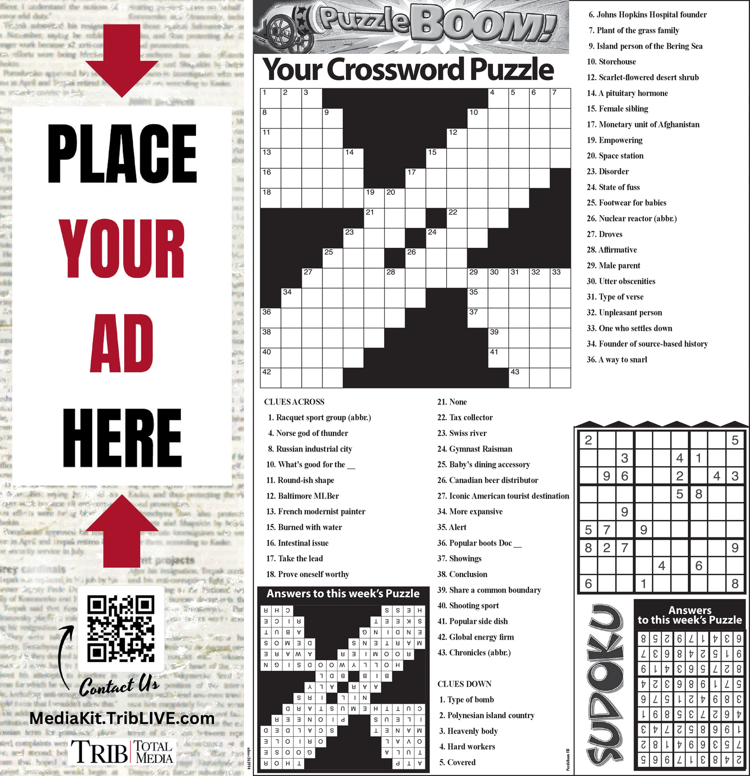 Ad promo image large