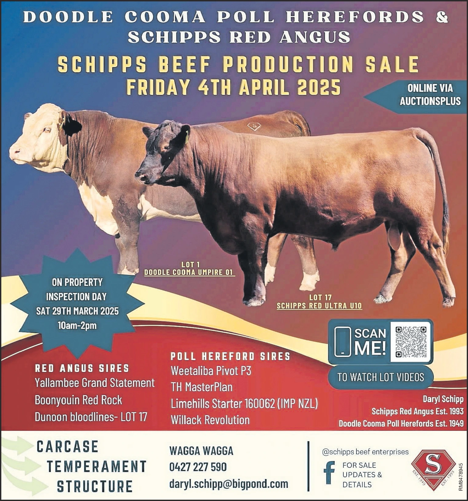 Ad promo image large