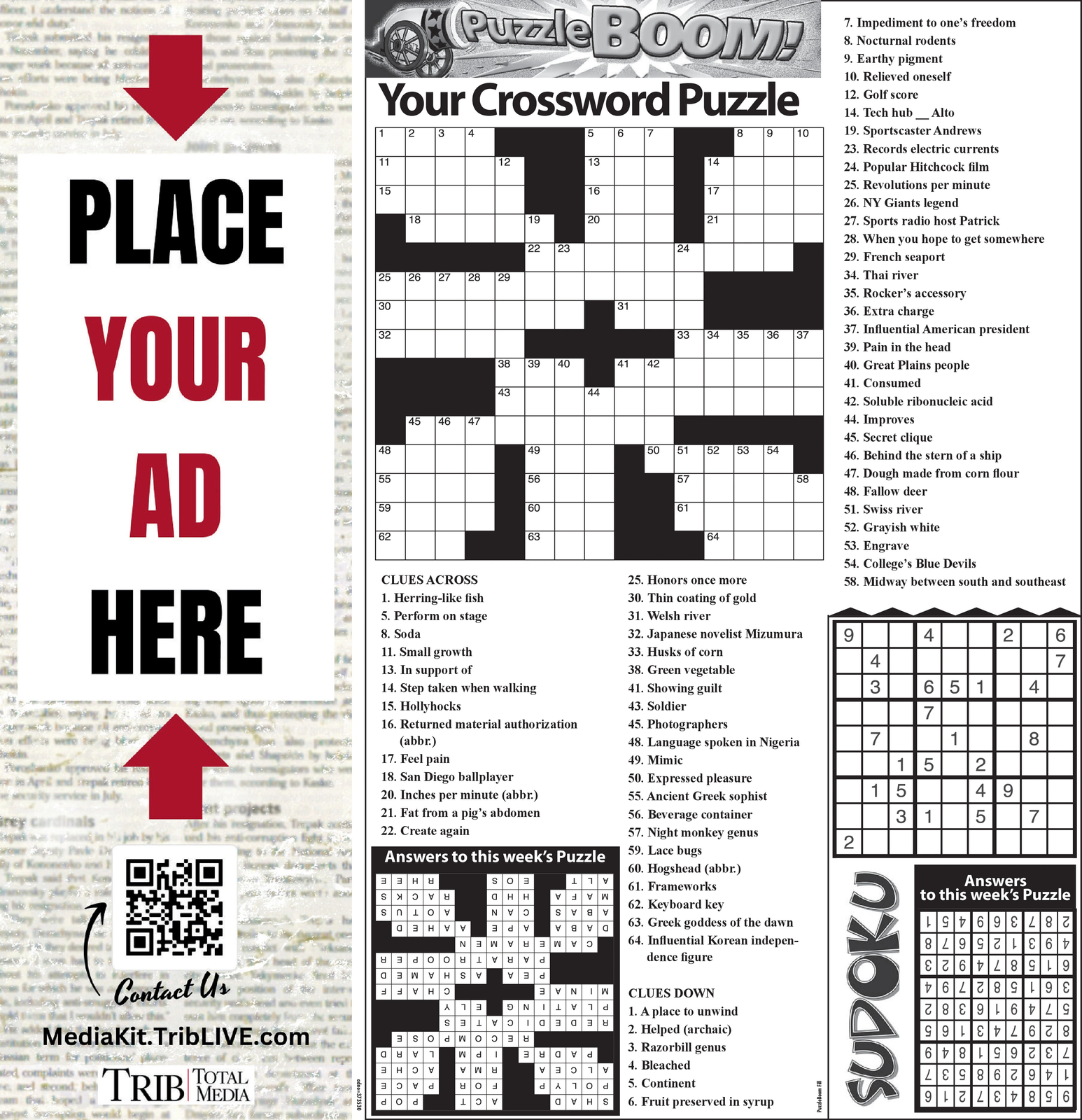 Ad promo image large