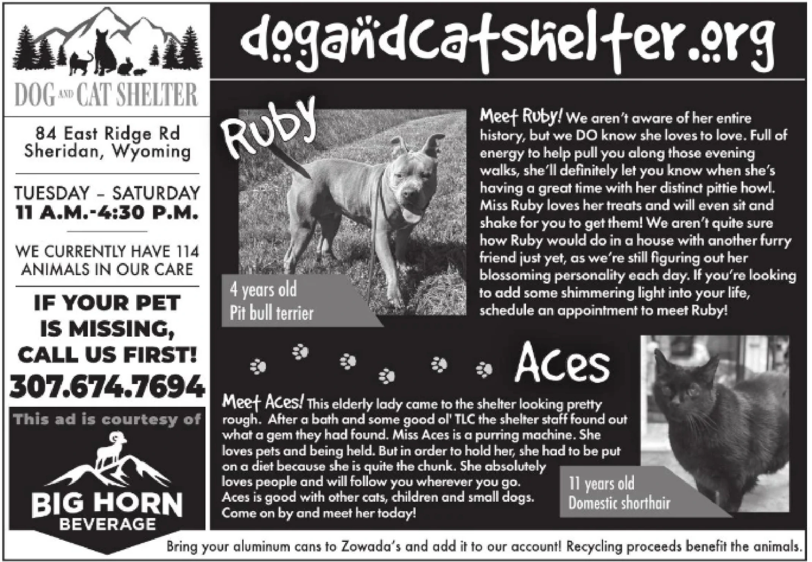 Ad promo image large